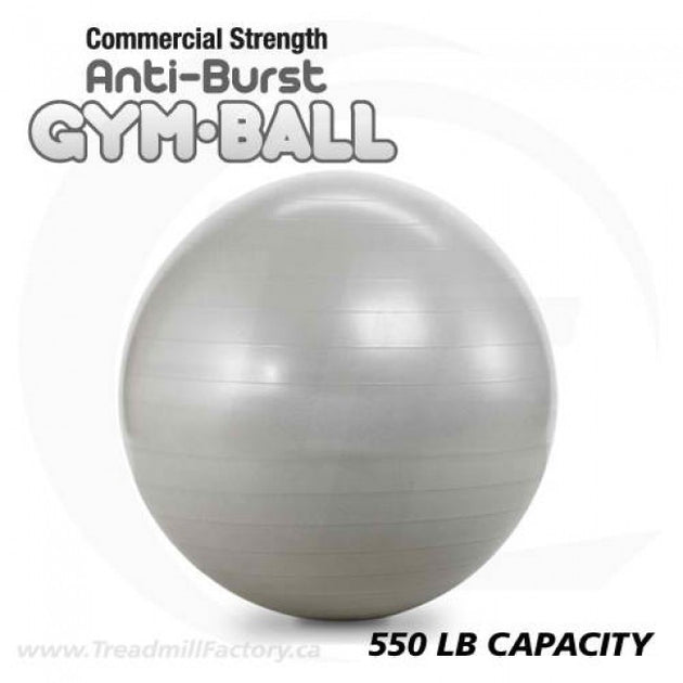 Stability Balls - Commercial Grade – Gronk Fitness Products
