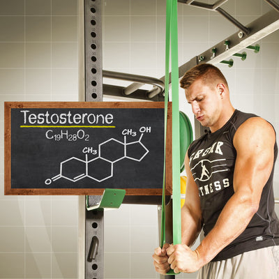 6 Tips To Boost Your Testosterone Naturally