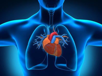 How Gronk Fitness Can Improve Heart Health