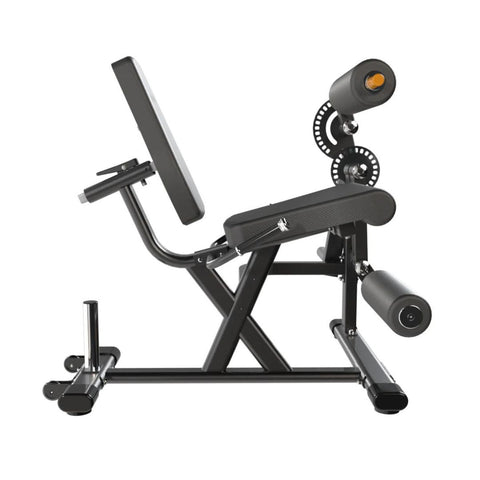 Leg curls and sales extensions at home