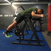Gronk Fitness Reverse Hyperextension - Plate Loaded